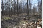 Property photo 152 - REAL ESTATE & PERSONAL PROPERTY AUCTION, 140 Acres offered in 8 Tracts or Combinations in Steuben County